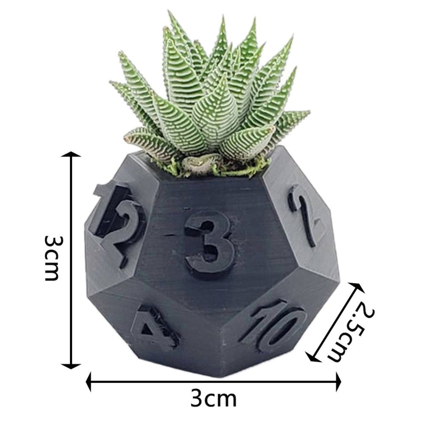 3D Printed Tabletop RPG Dice Succulent Planter Pot