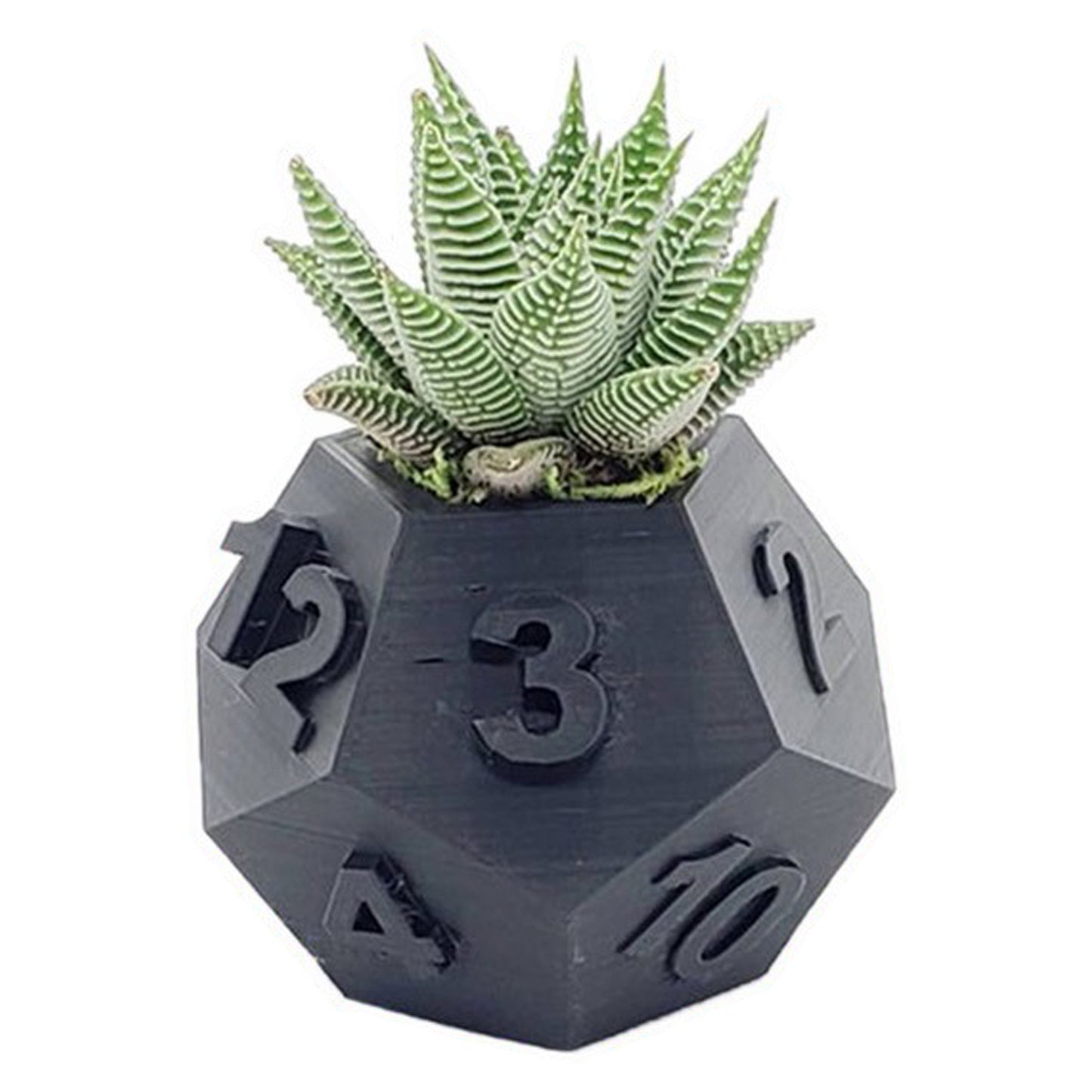 3D Printed Tabletop RPG Dice Succulent Planter Pot