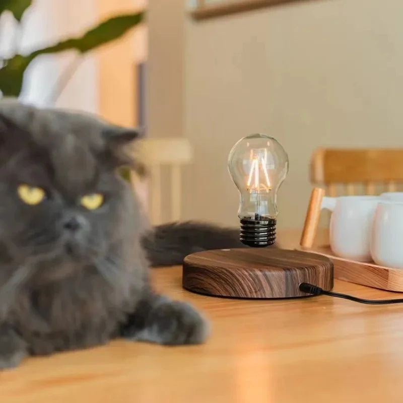 Magnetic Levitation Floating LED Bulb Desk Lamp